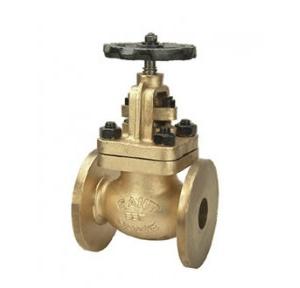 Sant Bronze Globe Steam Stop Valve Renewable Disc 100 mm, IBR 2C